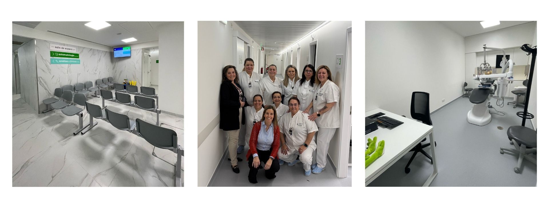 Odoo texto e bloco de imagem